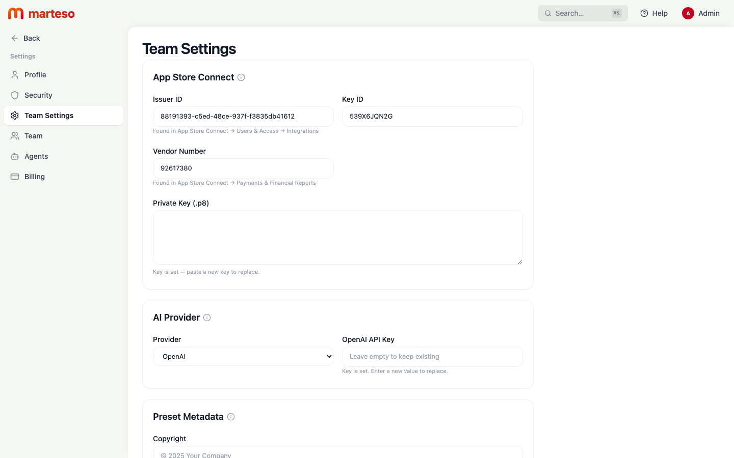Team page showing member list with roles and app access, and the Roles reference table below